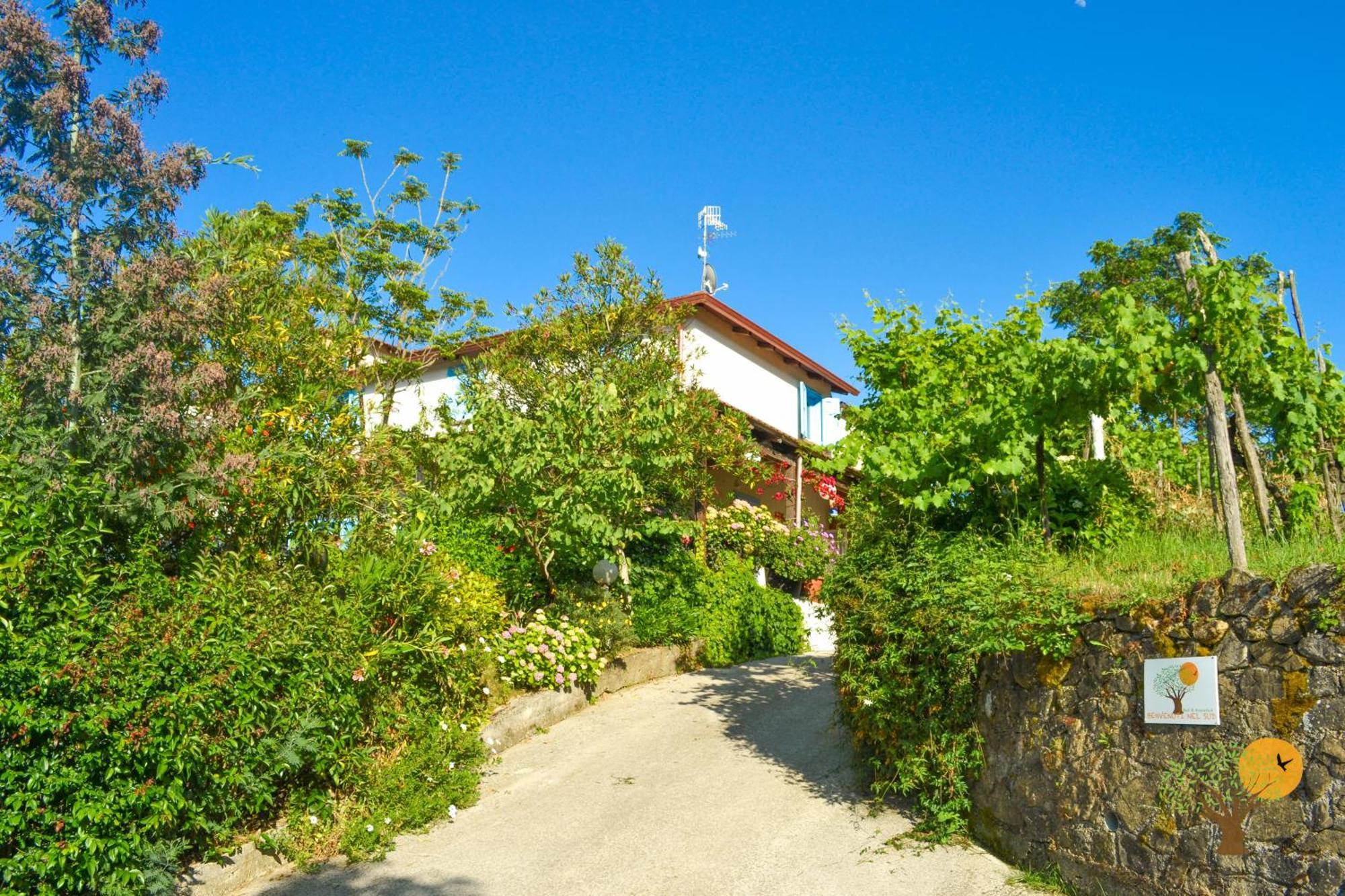 Bed and Breakfast Benvenuti Nel Sud Sessa Cilento Экстерьер фото