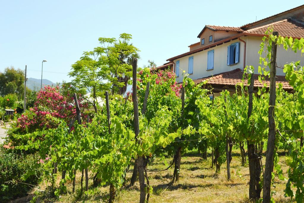 Bed and Breakfast Benvenuti Nel Sud Sessa Cilento Экстерьер фото