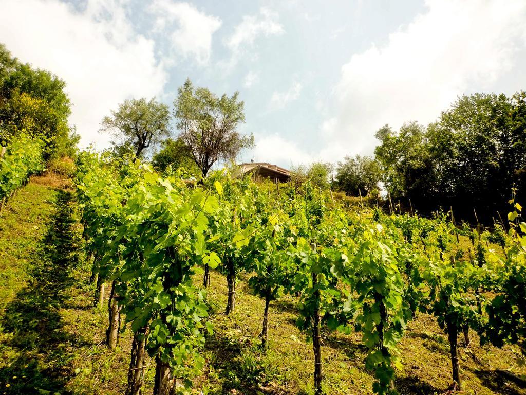 Bed and Breakfast Benvenuti Nel Sud Sessa Cilento Экстерьер фото