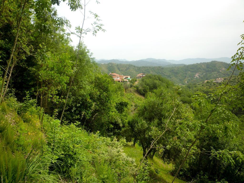 Bed and Breakfast Benvenuti Nel Sud Sessa Cilento Экстерьер фото