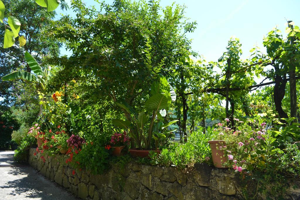 Bed and Breakfast Benvenuti Nel Sud Sessa Cilento Экстерьер фото