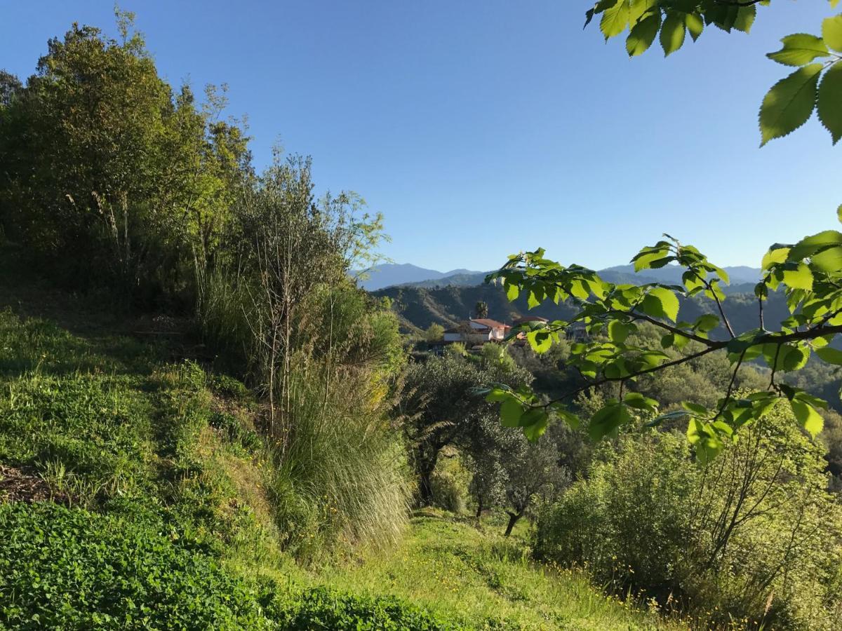Bed and Breakfast Benvenuti Nel Sud Sessa Cilento Экстерьер фото